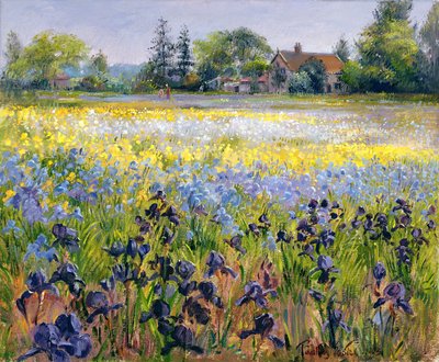 Iris et Deux Sapins, 1993 - Timothy Easton